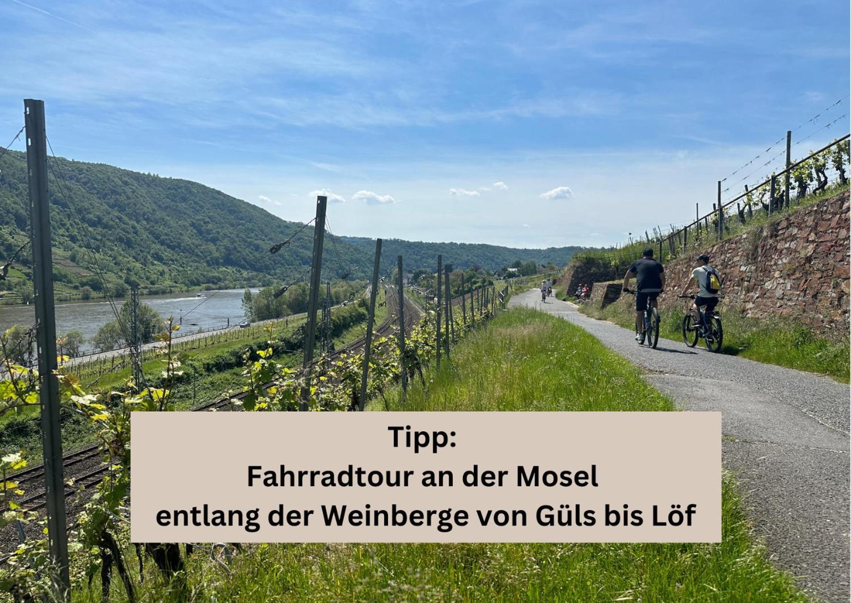 Modern Apartment - Fuer Freunde & Familien, Stadtnah, Parkplatz, E-Ladestation, Gitterbox Fuer Fahrraeder, Fitnessstudio, Digitale Gaestemappe Mit Restaurant- Und Unternehmenstipps Koblencja Zewnętrze zdjęcie